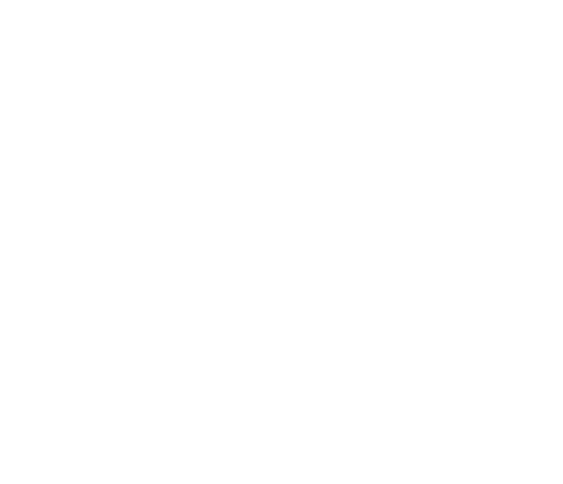 nomad flower campings