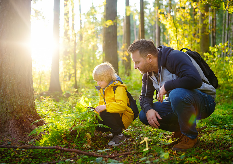 Umweltfreundliche Aktivitäten bei Flower Campings