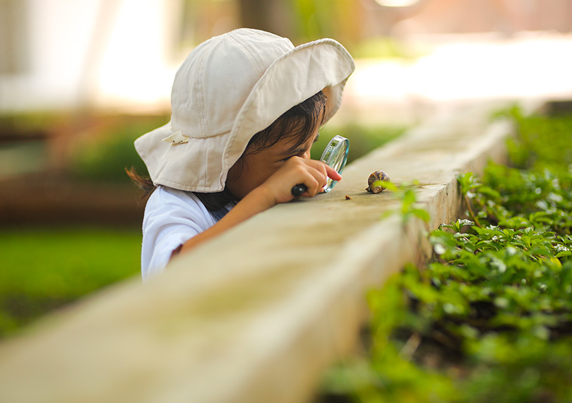 Kids' activities at Flower Campings